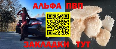 СК Кингисепп