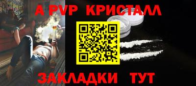 СК Кингисепп