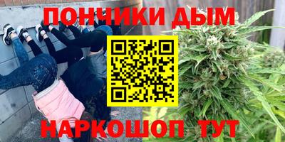 СК Кингисепп