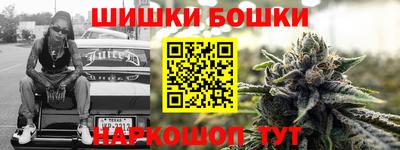 СК Кингисепп