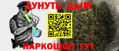 СК Кингисепп